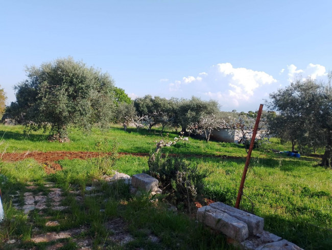 Trulli in vendita a Castellana Grotte