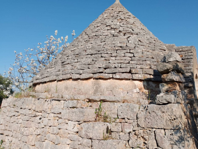 Trulli in vendita a Castellana Grotte
