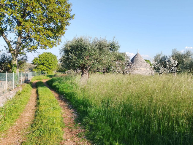Trulli in vendita a Castellana Grotte
