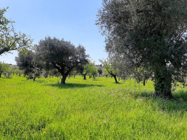 Terreno edificabile in vendita a Polignano a Mare
