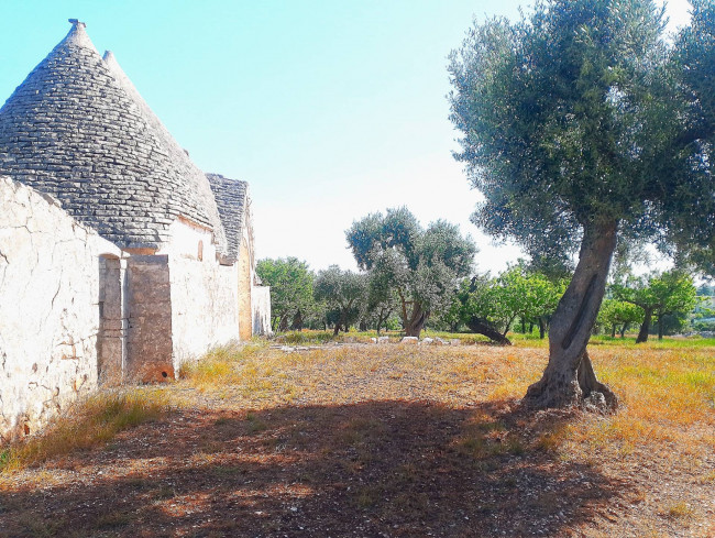 Trulli in vendita a Polignano a Mare