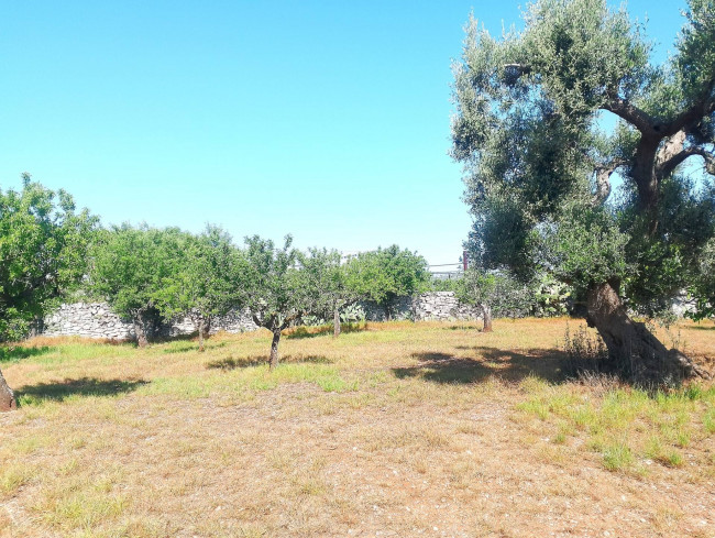 Trulli in vendita a Polignano a Mare