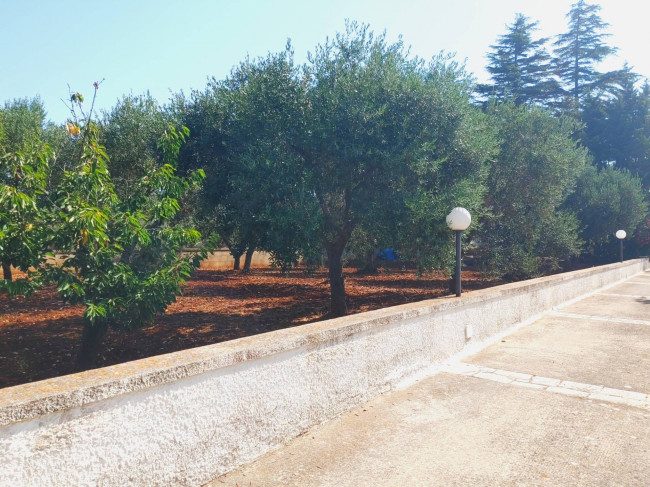 Casa singola in vendita a Monopoli