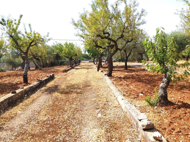 Trulli in vendita a Castellana Grotte