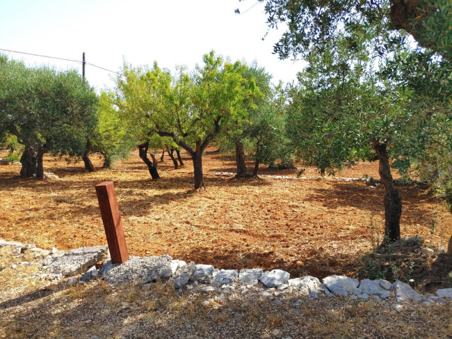 Trulli in vendita a Castellana Grotte