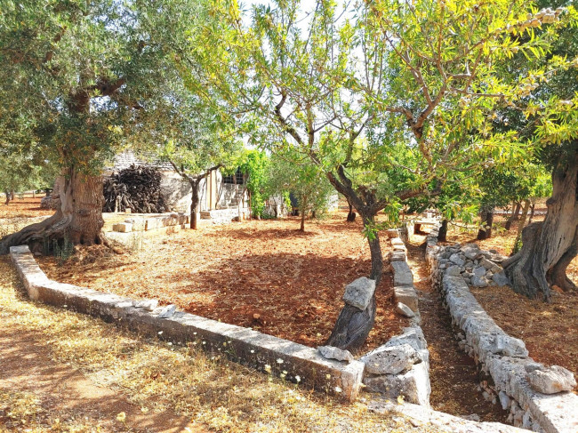 Trulli in vendita a Castellana Grotte