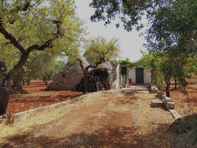 Trulli in vendita a Castellana Grotte
