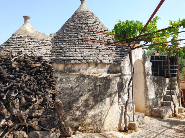 Trulli in vendita a Castellana Grotte