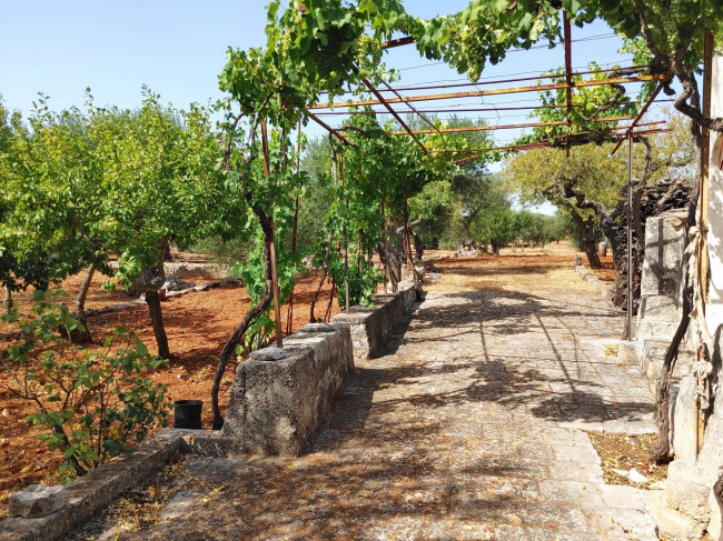 Trulli in vendita a Castellana Grotte