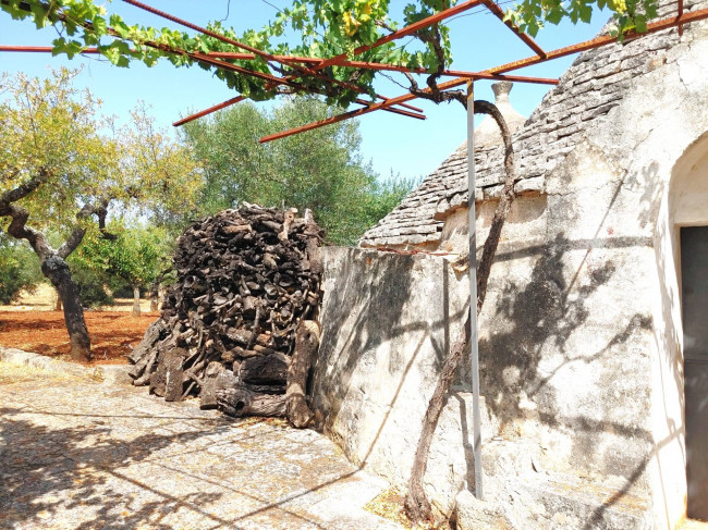 Trulli in vendita a Castellana Grotte