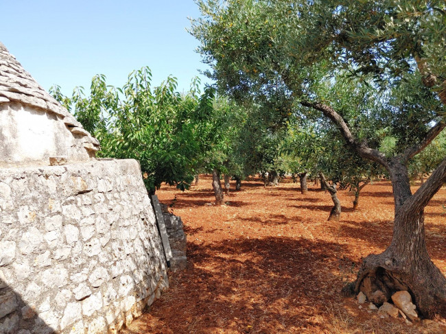Trulli in vendita a Castellana Grotte