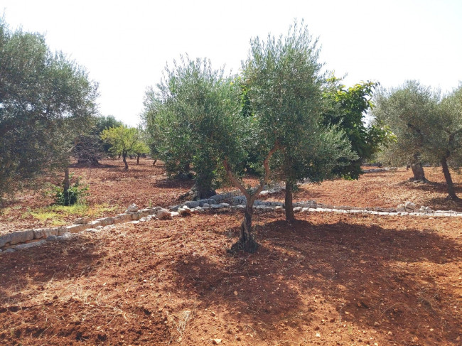 Trulli in vendita a Castellana Grotte