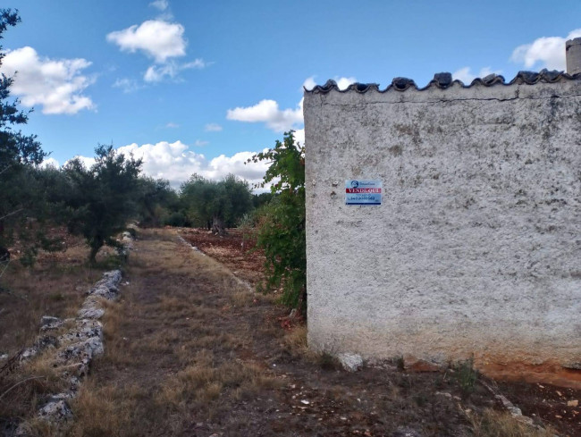 Terreno Agricolo in vendita a Castellana Grotte
