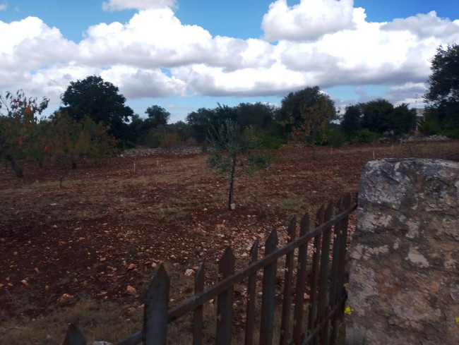 Terreno Agricolo in vendita a Castellana Grotte