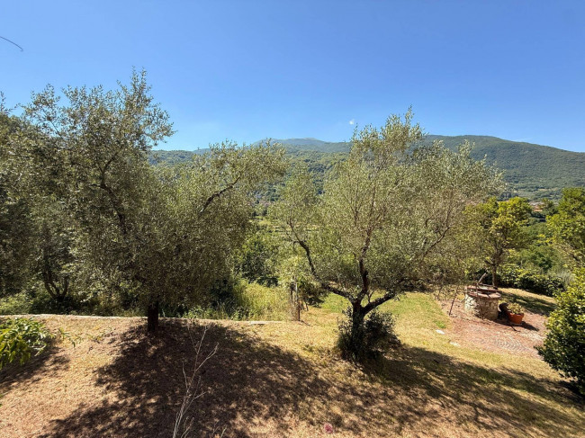 Casa singola in vendita a Borgo Velino