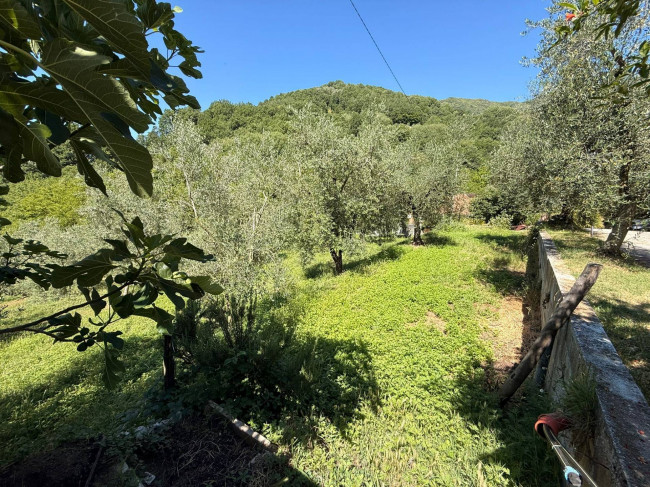 Casa singola in vendita a Borgo Velino
