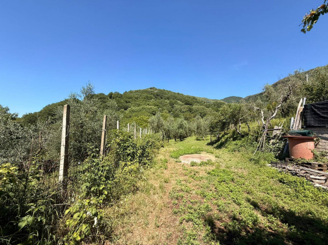Casa singola in vendita a Borgo Velino