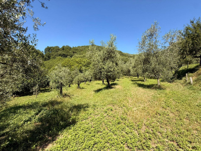 Casa singola in vendita a Borgo Velino