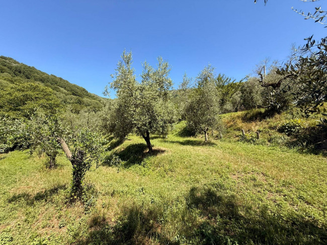 Casa singola in vendita a Borgo Velino