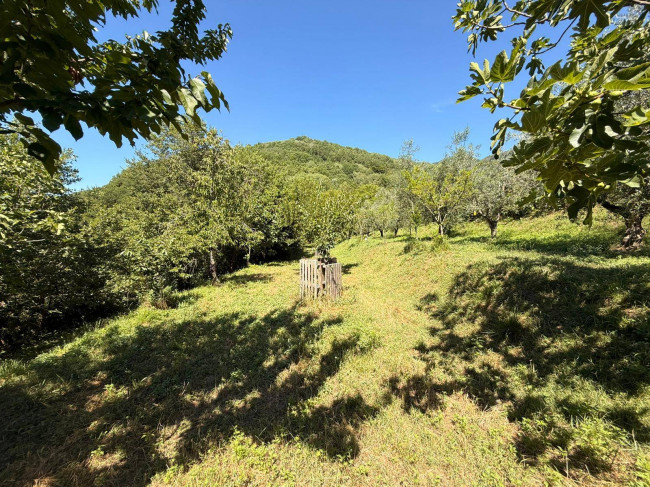 Casa singola in vendita a Borgo Velino