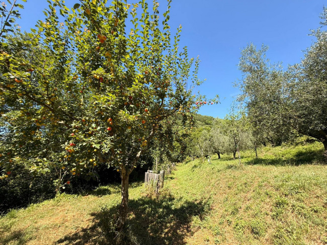 Casa singola in vendita a Borgo Velino