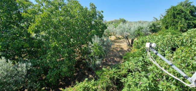 Villa in vendita a Montorio Romano