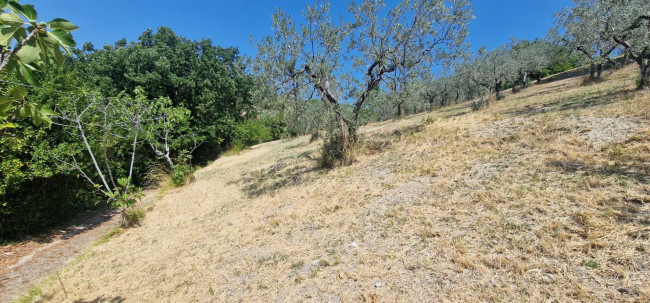 Villette a schiera in vendita a Montenero Sabino