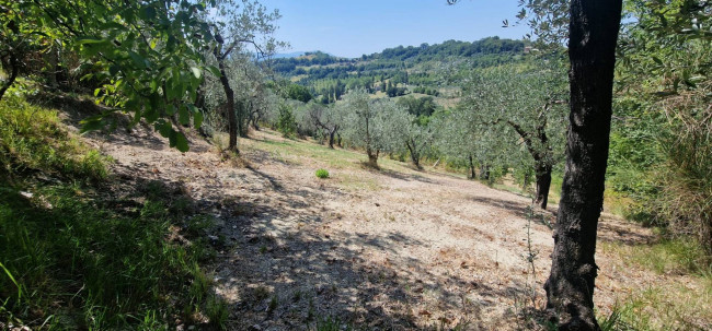 Villette a schiera in vendita a Montenero Sabino