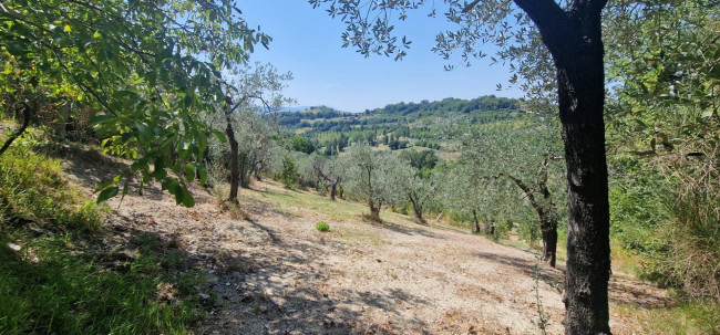 Villette a schiera in vendita a Montenero Sabino