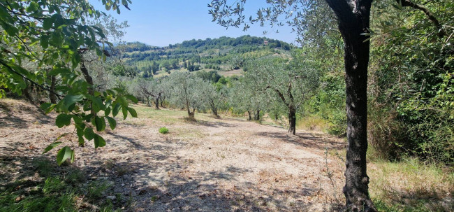 Villette a schiera in vendita a Montenero Sabino