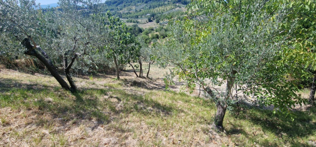 Villette a schiera in vendita a Montenero Sabino