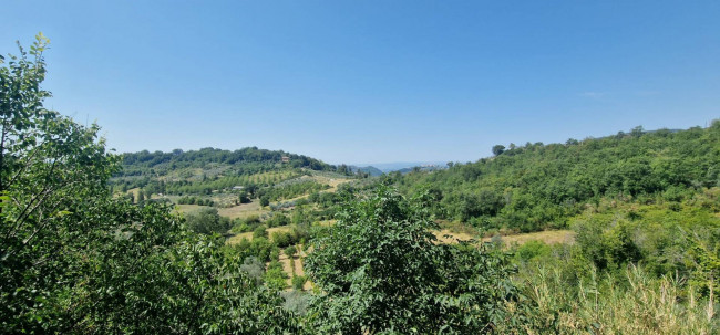 Villette a schiera in vendita a Montenero Sabino