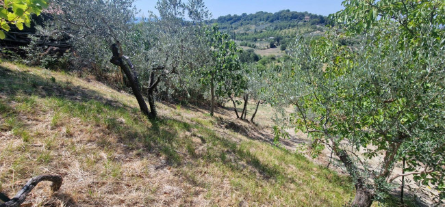 Villette a schiera in vendita a Montenero Sabino