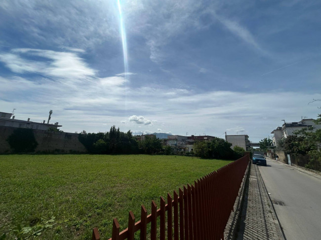 Terreno Agricolo in affitto a Casalnuovo di Napoli