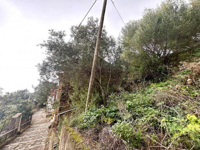 Casa singola in vendita a Pisciotta