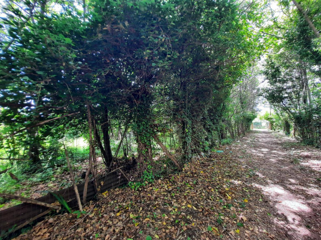 Villa in vendita a Rotondi
