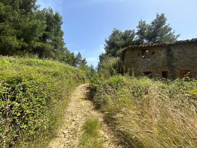 Rustico in vendita a Piegaro
