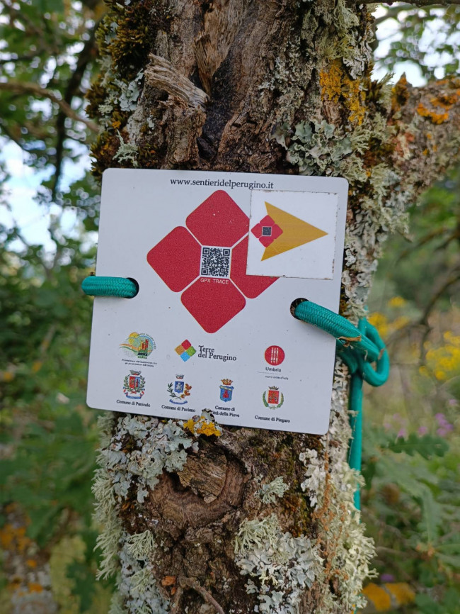 Rustico in vendita a Piegaro