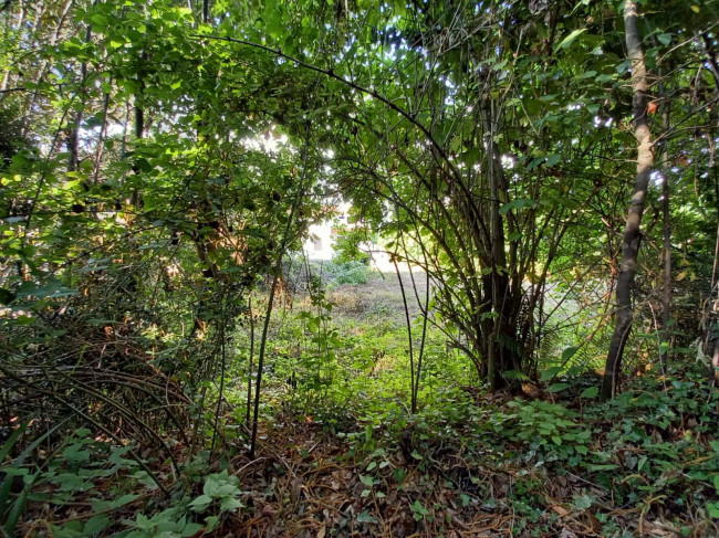 Villa in vendita a Rotondi