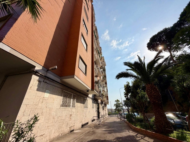 Appartamento in affitto a Napoli