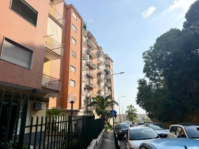 Appartamento in affitto a Napoli