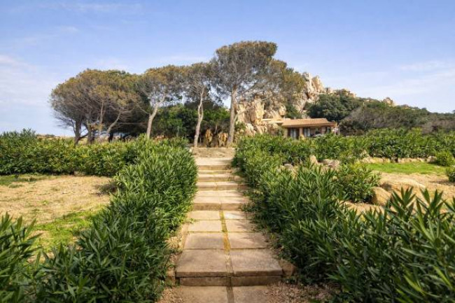 Villette a schiera in vendita a Trinità d'Agultu e Vignola