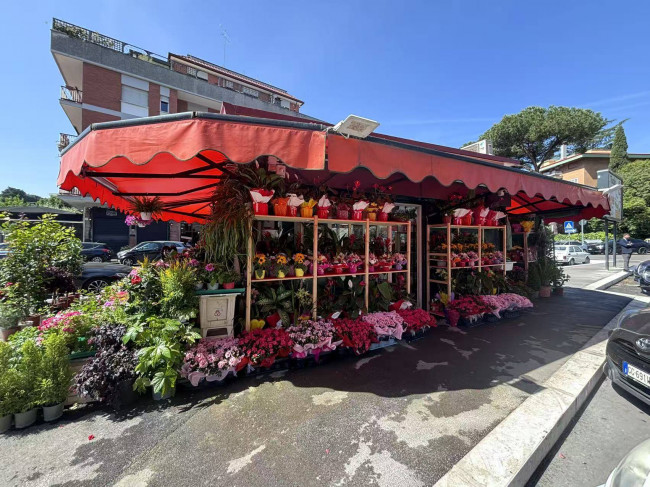 Struttura con Licenza in vendita a Roma