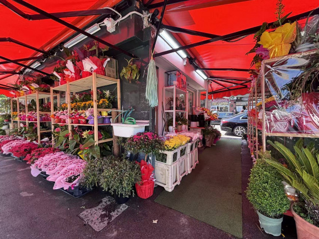 Struttura con Licenza in vendita a Roma