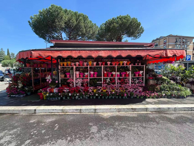 Struttura con Licenza in vendita a Roma