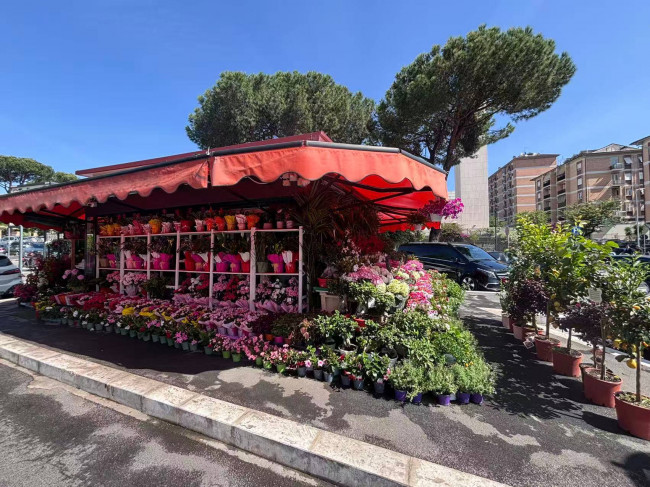 Struttura con Licenza in vendita a Roma