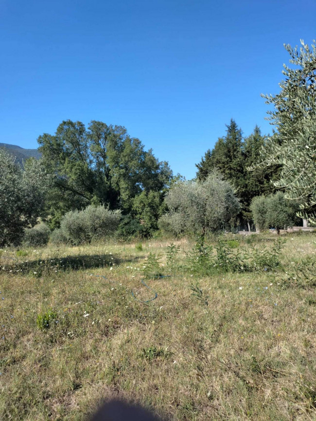Terreno Agricolo in vendita a Castel Madama