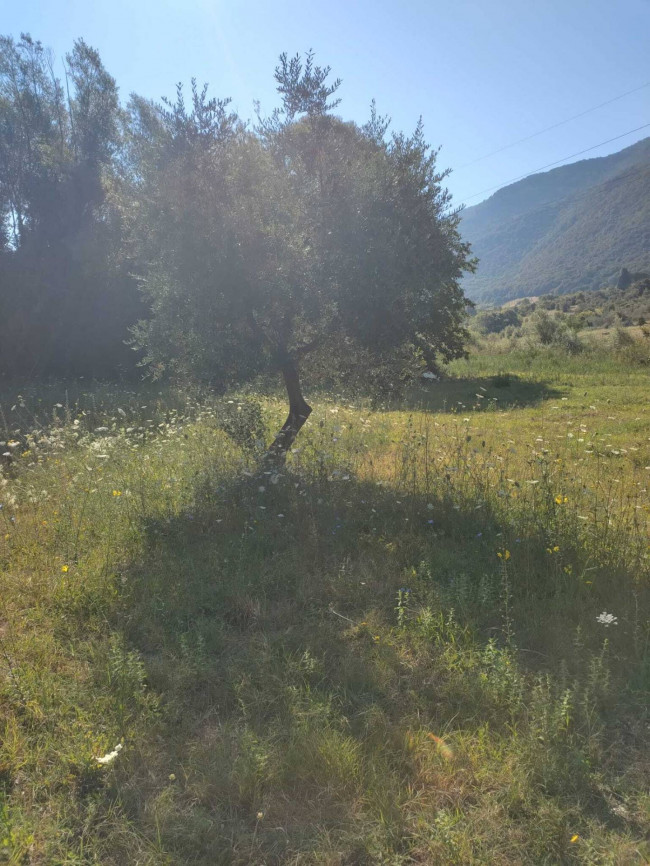 Terreno Agricolo in vendita a Castel Madama