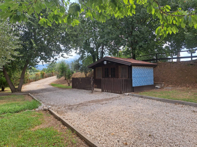 Appartamenti in vendita a Sessa Aurunca