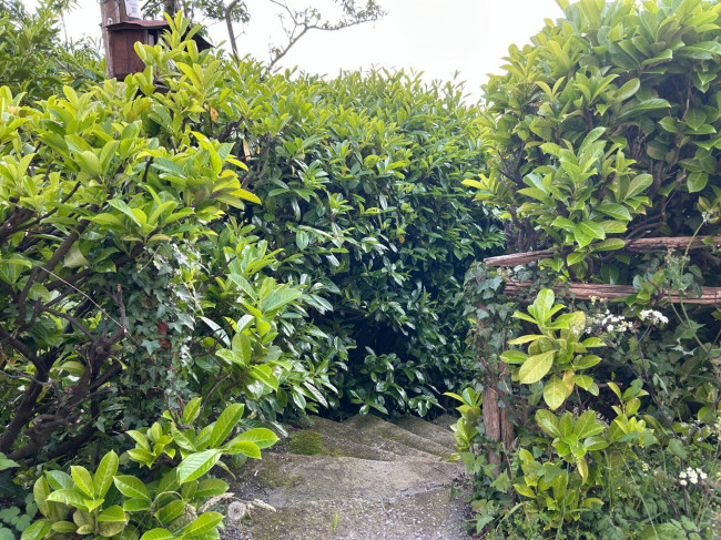 Appartamento in vendita a Altare